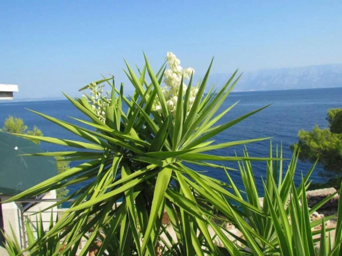 Holiday House Jakov Gdinj Екстер'єр фото